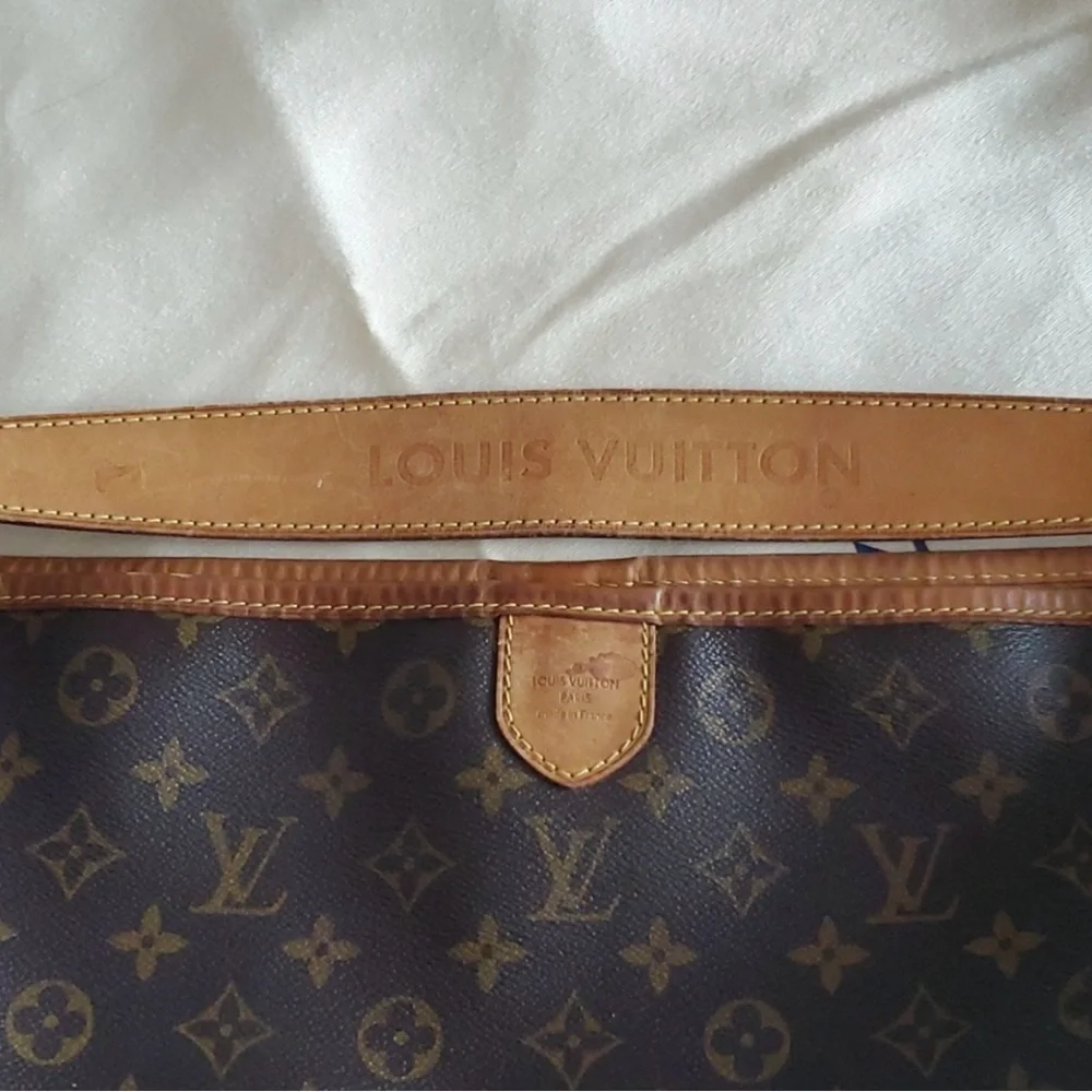 Louis Vuitton MM Delightful Bag - Picture 3 of 10